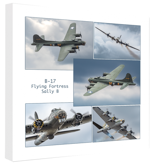 20x20cm Sally B