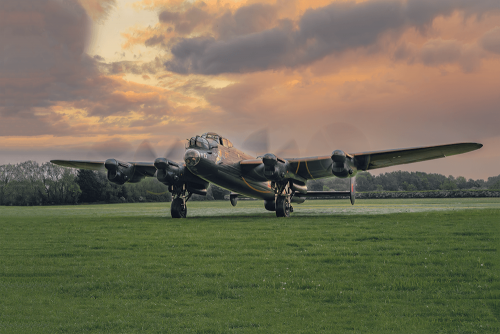 Aluminium Print: Just Jane NX611