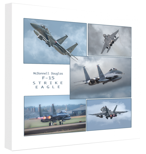 F-15 Strike Eagle 