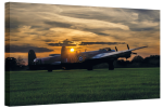 Just Jane at Sunset 80x50cm