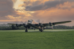 Aluminium Print: Just Jane NX611