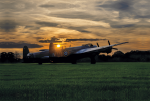 Aluminium Print: Just jane Sunset
